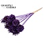 Pine cone on stick | Colour: Intense Purple | Pine cone diameter 5 - 7 centimetres | Length ± 50 centimetres | Per 10 picks