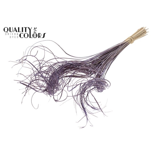 Dried Palm Leaf Vein | Curly Ting Ting | Colour: Milka Purple | Dried Decoration | Length ± 70 centimetres | Per 100 stems