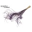Dried Palm Leaf Vein | Curly Ting Ting | Colour: Milka Purple | Dried Decoration | Length ± 70 centimetres | Per 100 stems