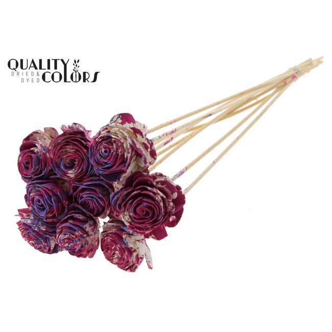 Shola Houten Roos op stok | Kleur: Meerkleurig Kerskleurig Milkapaars | Shola Beauty Rose Bijsteker | Diameter roos 6 centimeter | Lengte bijsteker ± 50 centimeter | Per 10 bijstekers