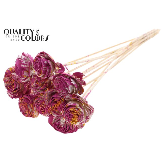 Shola Houten Roos op stok | Kleur: Meerkleurig Kerskleurig Geel | Shola Beauty Rose Bijsteker | Diameter roos 6 centimeter | Lengte bijsteker ± 50 centimeter | Per 10 bijstekers