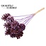 Pine cone on stick | Colour: Intense Milka Purple | Pine cone diameter 5 - 7 centimetres | Length ± 50 centimetres | Per 10 picks