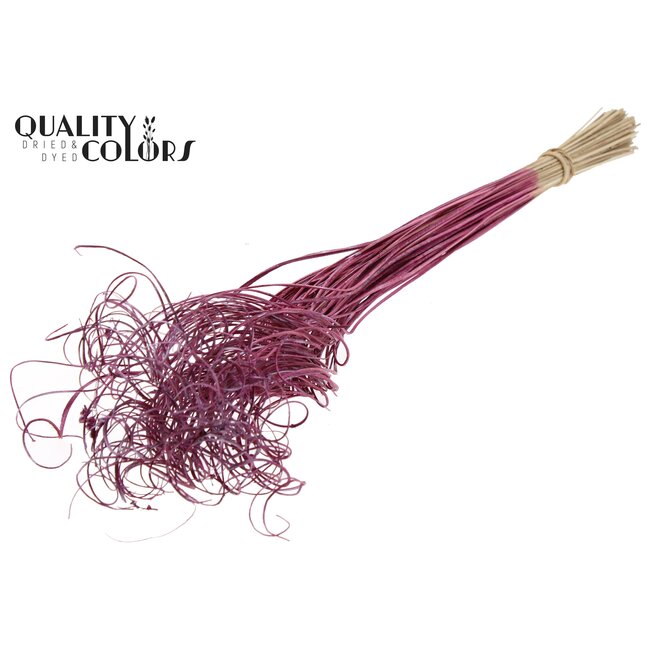 Gedroogd Palmblad Nerf | Curly Ting Ting | Kleur: Roze Metallic | Droogdecoratie | Lengte ± 70 centimeter | Per 100 takken