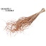 Dried Palm Leaf Vein | Curly Ting Ting | Colour: Salmon | Dried Decoration | Length ± 70 centimetres | Per 100 stems