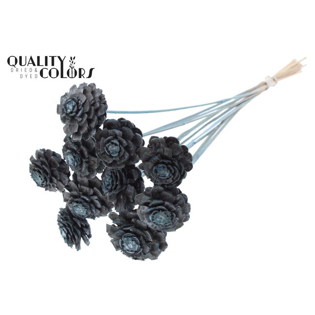 Gesneden Dennenappel op stok | Kleur: Frosted Lichtblauw | Diameter dennenappel 5 - 7 centimeter | Lengte ± 50 centimeter | Per 10 bijstekers