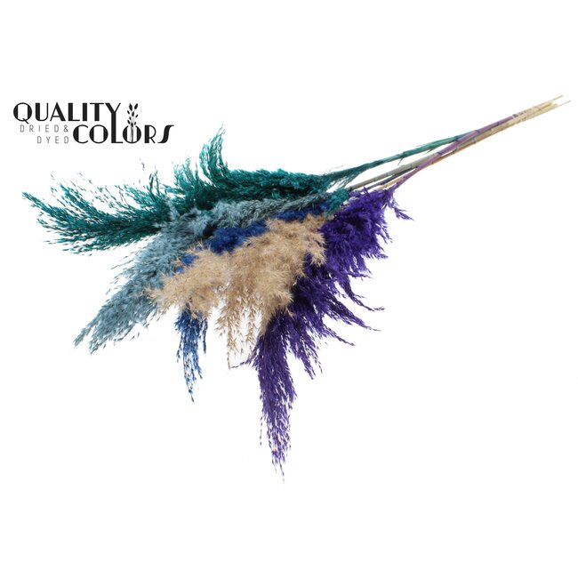 Gedroogde Pampas Pluimen | Scandinavische Kleuren | Kleur: Gemengde Kleuren | Pampas Droogbloemen | Lengte ± 100 centimeter | 5 pluimen per bos | Per bos