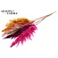 Gedroogde Pampas Pluimen | Kleurrijk 10 | Kleur: Gemengde Kleuren | Pampas Droogbloemen | Lengte ± 100 centimeter | 5 pluimen per bos | Per bos