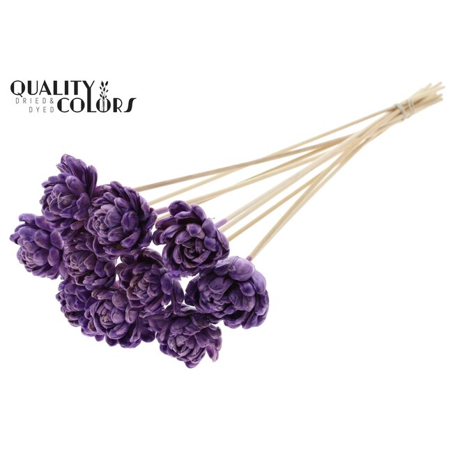 Shola Hout met was Roos op stok | Kleur: Milkapaars | Shola New Beauty Rose Bijsteker | Diameter roos 6 centimeter | Lengte bijsteker ± 50 centimeter | Per 10 bijstekers