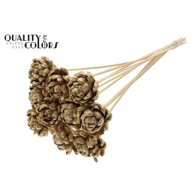 Shola Houten Roos op stok | Kleur: Antiek Goudkleurig | Shola New Beauty Rose Bijsteker | Diameter roos 6 centimeter | Lengte bijsteker ± 50 centimeter | Per 10 bijstekers