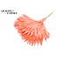 Dried Palm Leaf in Fan Shape | Colour: Intense Coral | Palm Sun Dried Flowers | Length ± 50 centimetres | Per 10 stems