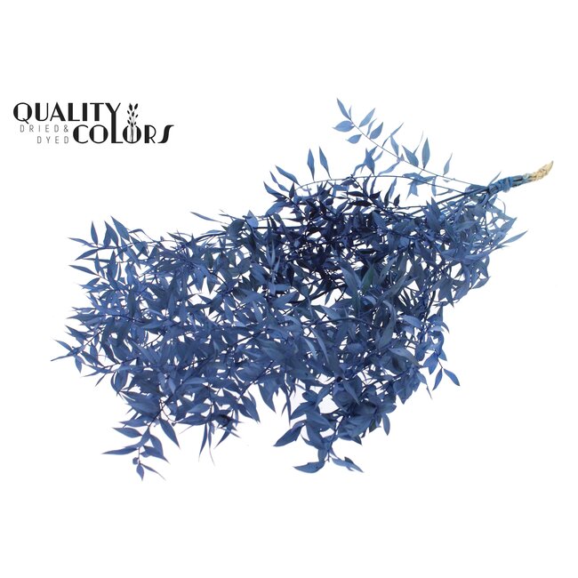 Gedroogde Ruscus | Kleur: Donkerblauw | Ruscus Droogbloemen | Lengte ± 70 centimeter | 10 takken per bos | Per bos