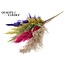 Dried Pampas Plumes | Colourful 2 | Colour: Mixed Colours | Pampas Dried Flowers | Length ± 100 centimetres | 5 plumes per bunch | Per bunch