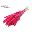 Dried Setaria | Colour: Intense Cherry Red | Setaria dried flowers | Length ± 70 centimetres | Weight 210 grams | Per bunch
