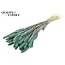 Dried Setaria | Colour: Intense Frosted Light Blue | Setaria dried flowers | Length ± 70 centimetres | Weight 210 grams | Per bunch