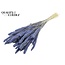 Dried Setaria | Colour: Intense Frosted Milka Purple | Setaria dried flowers | Length ± 70 centimetres | Weight 210 grams | Per bunch