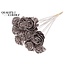 Shola Houten Roos op stok | Kleur: Champagnekleurig | Shola Beauty Rose Bijsteker | Diameter roos 6 centimeter | Lengte bijsteker ± 50 centimeter | Per 10 bijstekers