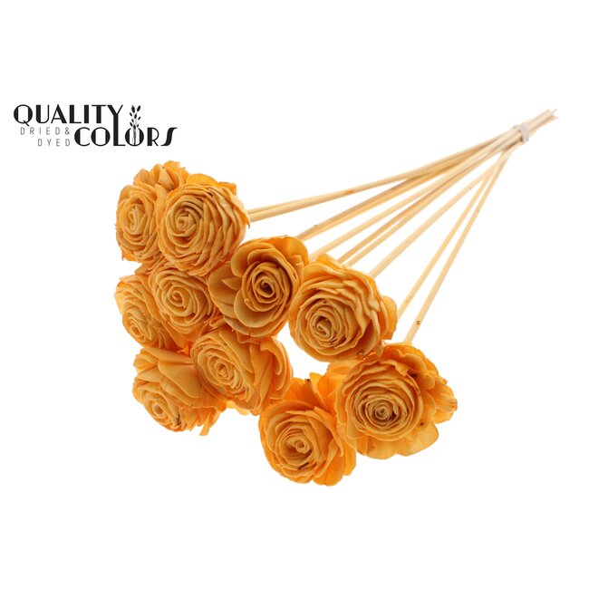 Shola Houten Roos op stok | Kleur: Abrikooskleurig | Shola Beauty Rose Bijsteker | Diameter roos 6 centimeter | Lengte bijsteker ± 50 centimeter | Per 10 bijstekers