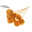 Shola Houten Roos op stok | Kleur: Abrikooskleurig | Shola Beauty Rose Bijsteker | Diameter roos 6 centimeter | Lengte bijsteker ± 50 centimeter | Per 10 bijstekers