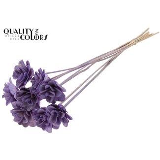 QC Beetal Rose on stick | Colour: Milka purple | Rose diameter 6 centimetres | Stick length ± 50 centimetres | Per 10 sticks