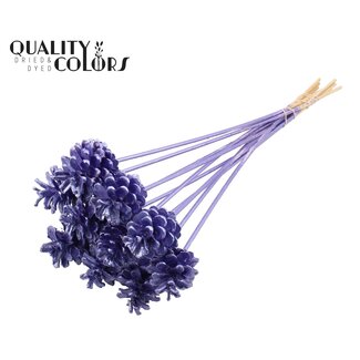 QC Pine cone on stick | Colour: Metallic Purple | Pine cone diameter 5 - 7 centimetres | Length ± 50 centimetres | Per 10 picks