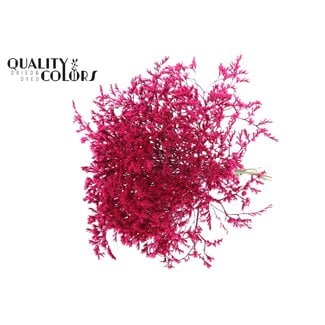 QC Dried Sea Lavender | Colour: Cherry-coloured | Limonium Tataricum Dried Flowers | Length ± 30 cm | Weight 45 grams | Per bunch