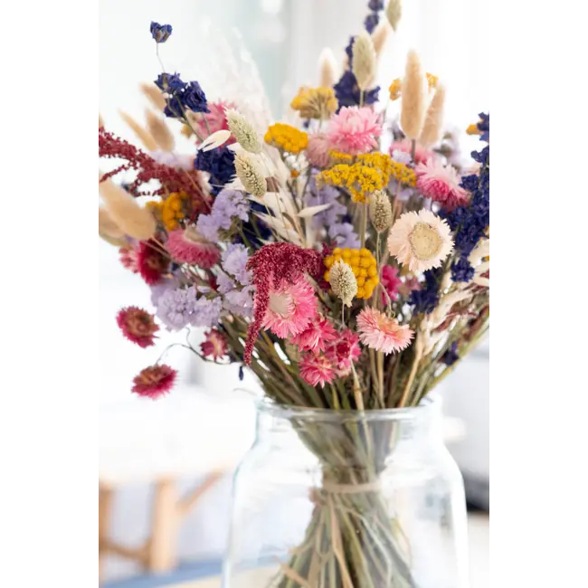 Trockenblumenstrauß Hugo | Länge ± 65 Zentimeter | Frische Mischung aus natürlichen Trockenblumen
