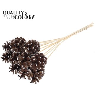 QC Dennenappel op stok | Kleur: Bruin met Zilverkleurig | Silver Tipped Bijsteker | Diameter dennenappel 5 - 7 centimeter | Lengte ± 50 centimeter | Per 10 bijstekers