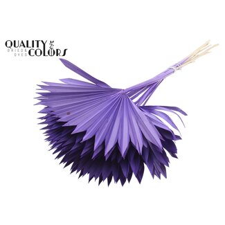 QC Dried Palm Leaf in Fan Shape | Colour: Purple | Palm Sun Dried Flowers | Length ± 50 centimetres | Per 10 stems