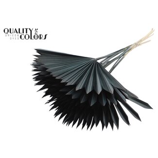 QC Dried Palm Leaf in Fan Shape | Colour: Black | Palm Sun Dried Flowers | Length ± 50 centimetres | Per 10 stems