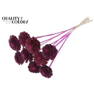QC Sliced Pine Cone on Stick | Colour: Lilac | Pine Cone Diameter 5 - 7 centimetres | Length ± 50 centimetres | Per 10 inserts