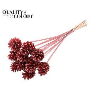 QC Dennenappel op stok | Kleur: Metallic Rood | Diameter dennenappel 5 - 7 centimeter | Lengte ± 50 centimeter | Per 10 bijstekers