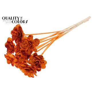 QC Beetal Rose on stick | Colour: Speckled Orange Red | Rose diameter 6 centimetres | Stick length ± 50 centimetres | Per 10 sticks