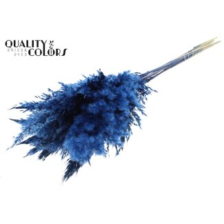QC Gedroogde Pampas Pluimen | Kleur: Donkerblauw | Pampas Droogbloemen | Lengte ± 70 centimeter | 10 pluimen per bos | Per bos