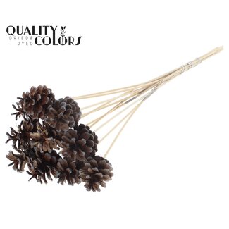 QC Pine cone on stick | Colour: Brown with Metallic Graphite | Metallic Graphite Tipped Decorative Stick | Pine cone diameter 5 - 7 centimetres | Length ± 50 centimetres | Per 10 decorative sticks