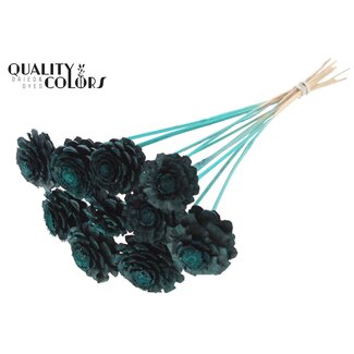 QC Gesneden Dennenappel op stok | Kleur: Turquoise | Diameter dennenappel 5 - 7 centimeter | Lengte ± 50 centimeter | Per 10 bijstekers