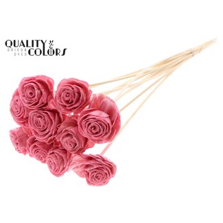 QC Shola Hout met was Roos op stok | Kleur: Lichtroze | Shola Beauty Rose Bijsteker | Diameter roos 6 centimeter | Lengte bijsteker ± 50 centimeter | Per 10 bijstekers
