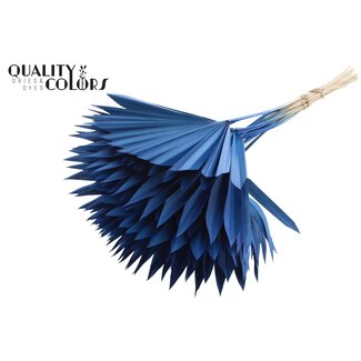 QC Gedroogd Palmblad in Waaiervorm | Kleur: Blauw | Palm Sun Droogbloemen | Lengte ± 50 centimeter | Per 10 takken