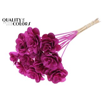 QC Shola Houten Roos op stok | Kleur: Lilakleurig | Shola Beetal Rose Bijsteker | Diameter roos 8 centimeter | Lengte bijsteker ± 50 centimeter | Per 10 bijstekers