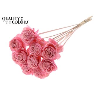QC Shola Houten Roos op stok | Kleur: Lichtroze | Shola Beauty Rose Bijsteker | Diameter roos 6 centimeter | Lengte bijsteker ± 50 centimeter | Per 10 bijstekers