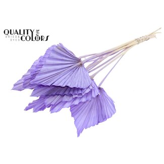 QC Gedroogde Palm Spear | Kleur: Milkapaars | Palmbladeren in speervorm | Lengte ± 55 centimeter | Per 10 takken