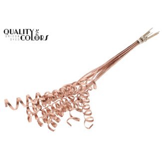 QC Palm Spiraal op steel | Kleur: Koperkleurig | Cane Spring Bijsteker | Lengte bijsteker ± 50 centimeter | Per 10 bijstekers