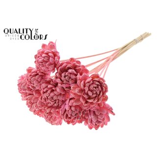 QC Shola Houten Roos op stok | Kleur: Lichtroze | Shola New Beauty Rose Bijsteker | Diameter roos 8 centimeter | Lengte bijsteker ± 50 centimeter | Per 10 bijstekers