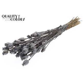 QC Getrockneter Schlafmohn | Farbe: Metallisch Graphitgrau | Papaver Somniferum Trockenblumen | Länge ± 60 Zentimeter | Gewicht 200 Gramm | Pro Bund