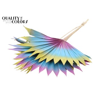 QC Dried Palm Leaf in Fan Shape “Ibiza” | Colour: Mixed Colours | Palm Sun Dried Flowers | Length ± 50 centimetres | Per 10 stems