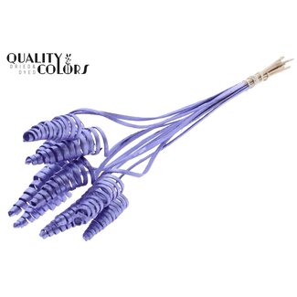 QC Palm Spiraal op steel | Kleur: Paars Metallic | Cane Cone Bijsteker | Lengte bijsteker ± 50 centimeter | Per 10 bijstekers