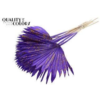 QC Dried Palm Leaf in Fan Shape | Colour: Speckled Purple Yellow | Palm Sun Dried Flowers | Length ± 50 centimetres | Per 10 stems