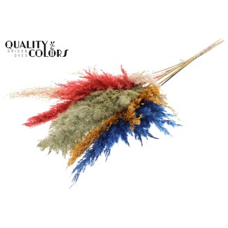 QC Gedroogde Pampas Pluimen | Kleurrijk 6 | Kleur: Gemengde Kleuren | Pampas Droogbloemen | Lengte ± 100 centimeter | 5 pluimen per bos | Per bos