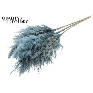 QC Gedroogde Pampas Pluimen | Kleur: Frosted Lichtblauw | Pampas Droogbloemen | Lengte ± 100 centimeter | 5 pluimen per bos | Per bos