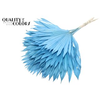 QC Dried Palm Leaf in Fan Shape | Colour: Intense Light Blue | Palm Sun Dried Flowers | Length ± 50 centimetres | Per 10 stems