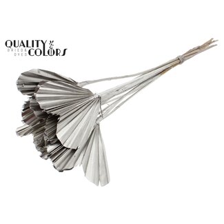 QC Dried Palm Spear Heart-Shaped | Colour: Platinum | Length ± 45 centimetres | Per 10 stems